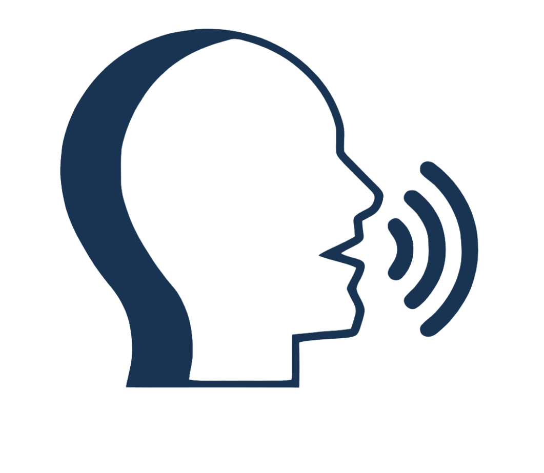 Voice AI